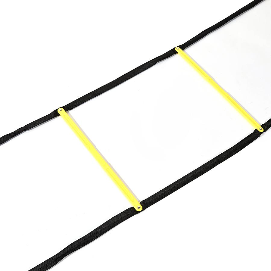 Multifunctional agility training ladder