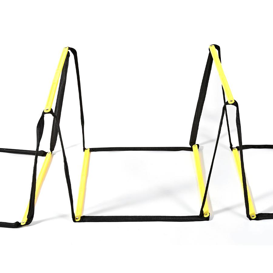 Multifunctional agility training ladder