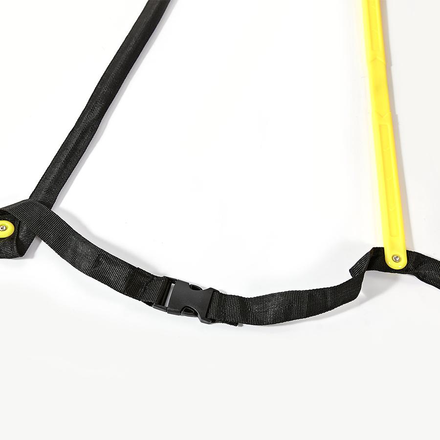 Multifunctional agility training ladder