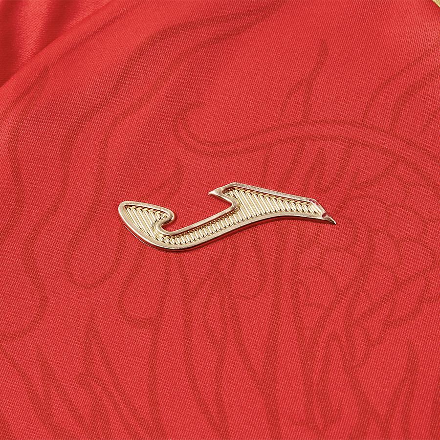 2024 new Year of the Dragon limited edition men’s football match uniform ~ Dragon Series