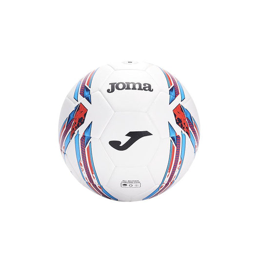 Professional Football【No. 5】