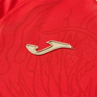 2024 new Year of the Dragon limited edition men’s football match uniform ~ Dragon Series