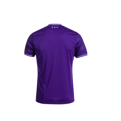 Royal Anderlecht home jersey 24/25