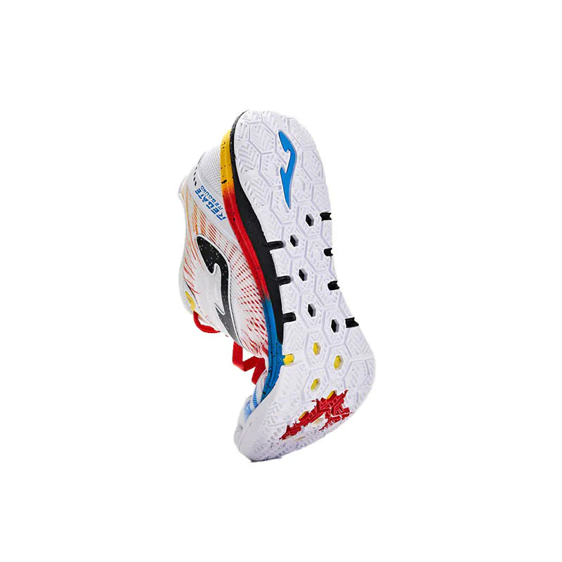 24th Futsal World Cup Special Series - Men's Futsal Shoes ~ Stone Ground and Indoor ~ REGATE REBOUND Series [White/Color]